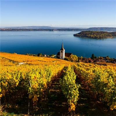 麻将胡了模拟器下载截图